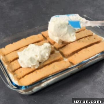 No-Bake Spiced Chai Tiramisu Cake 10 Second layer of chai soaked cake rusks and mascarpone filling being arranged.